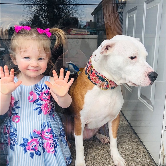 Cynthia Rowley Dress with Purse - Picture 9 of 10